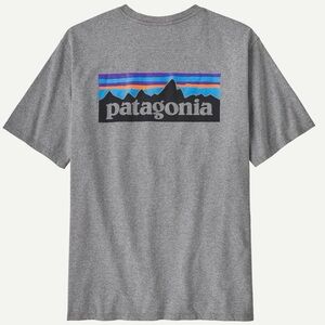 Patagonia Men's XXL GRAY Graphic Logo Tee Shirt XXLARGE